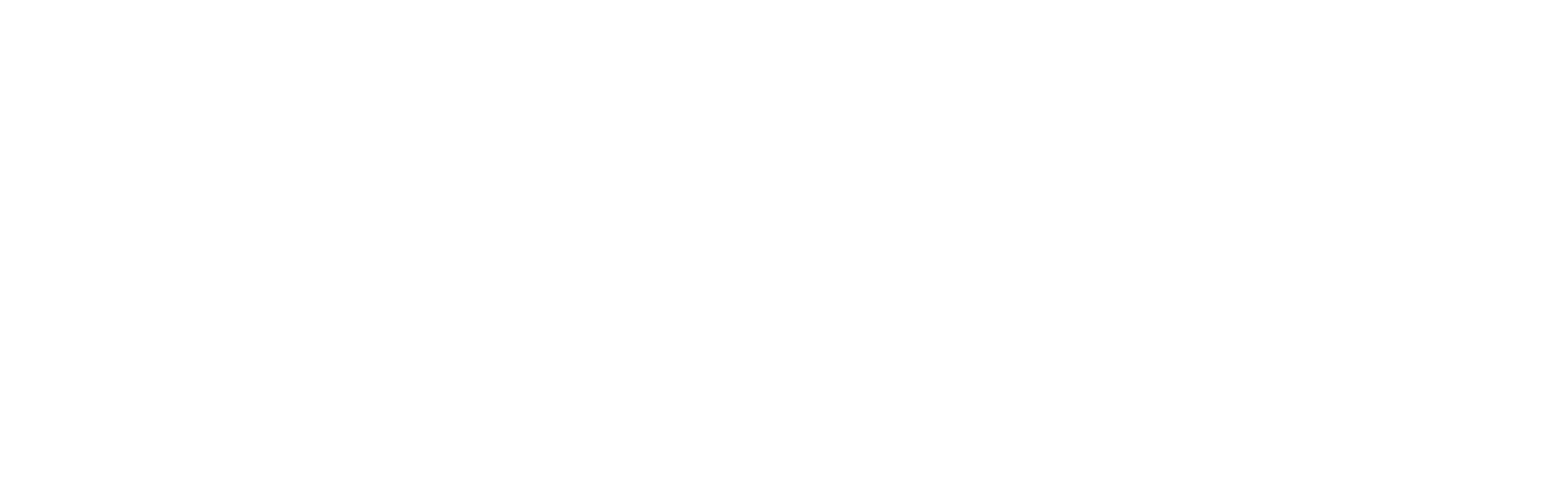 Transportes Sureños